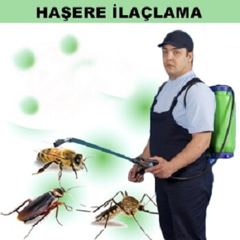 Andırın Böcek İlaçlama